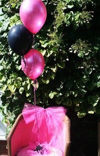 Aylesbury Balloons 1084644 Image 0